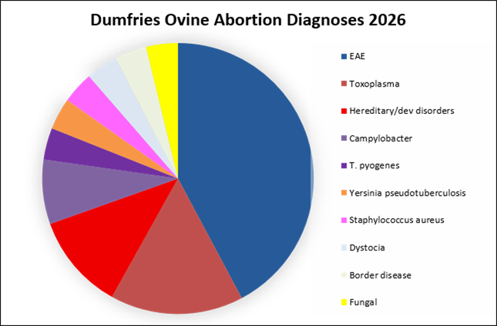 A piechaart showing abortion data for 2026