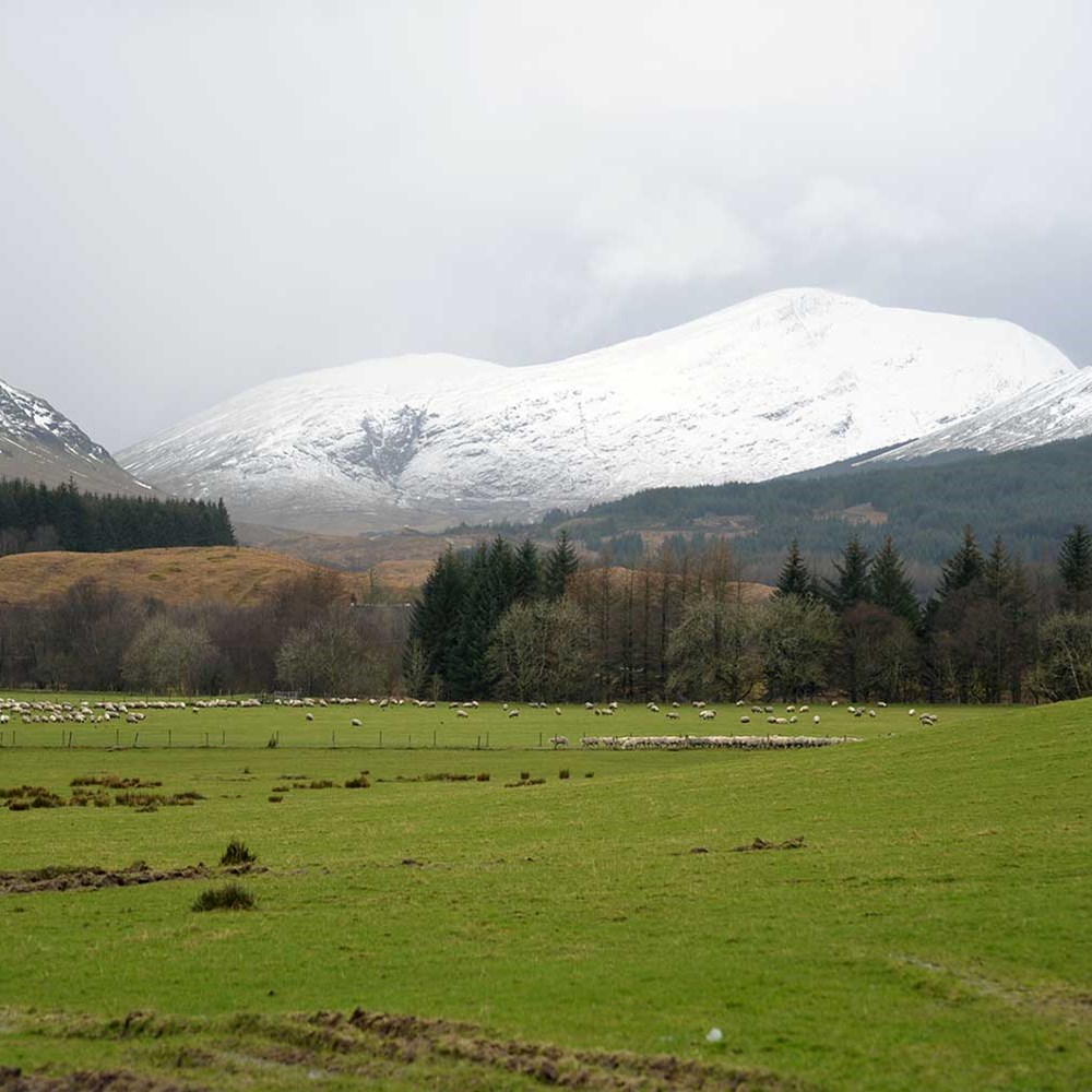 Hill & mountain research | SRUC
