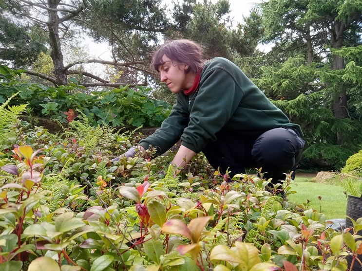 Horticulture student and one of the conference orgainsers, Eliana Dunlap working in a garden