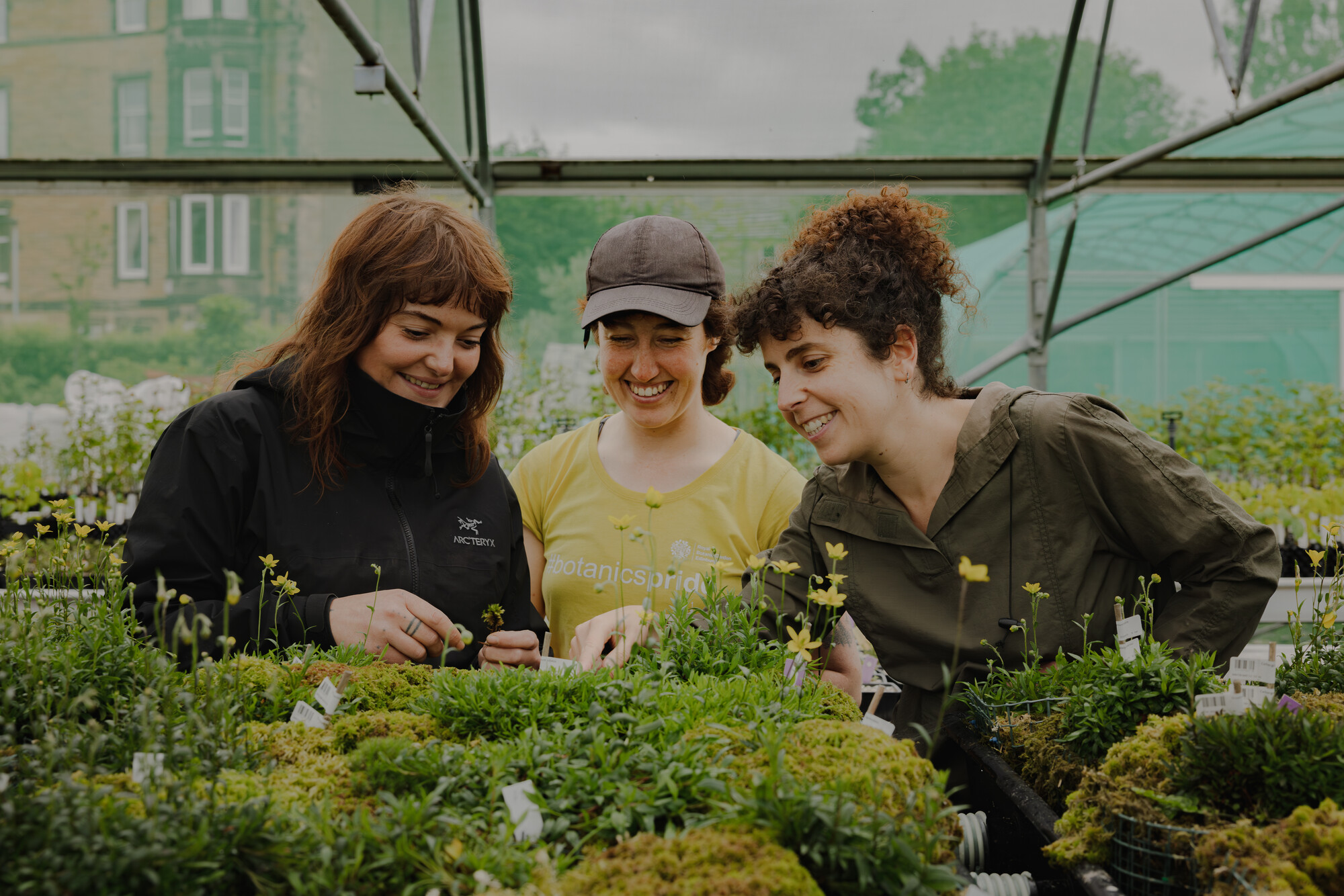 3 Women In A Greenhouse looking at plants