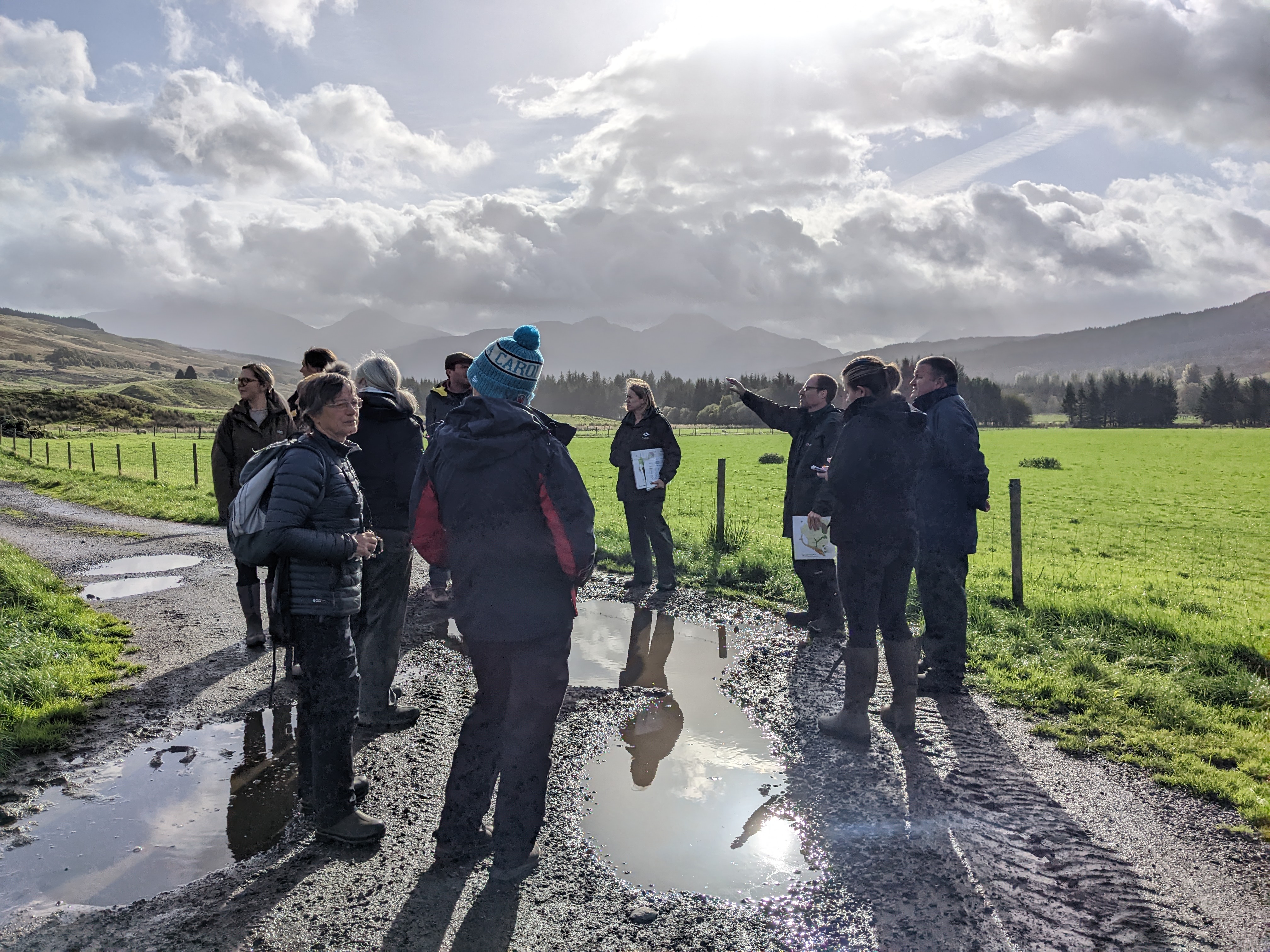 Rooks and the GL02 — Scottish Association for Country Sports