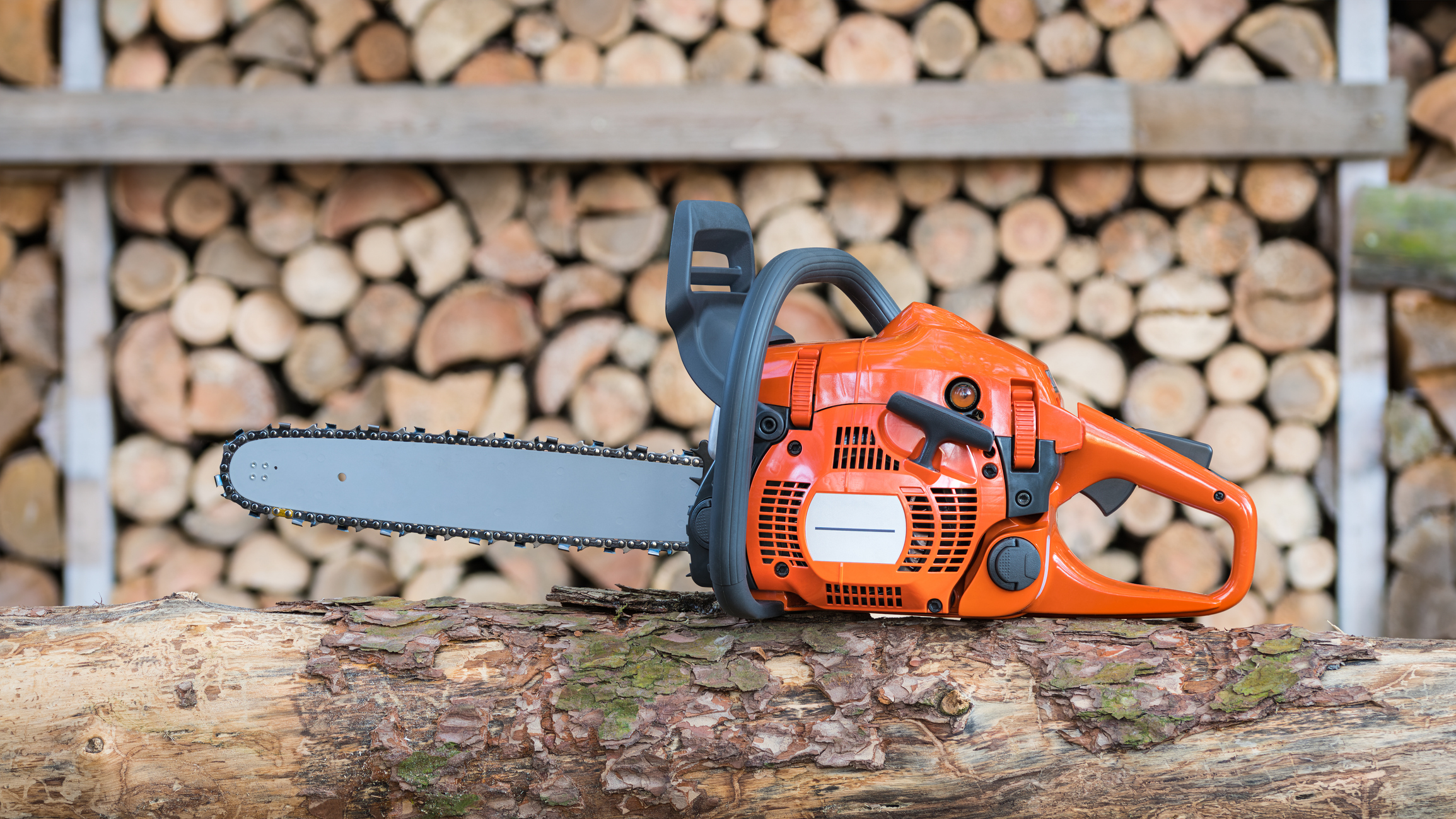 Chainsaw on a log