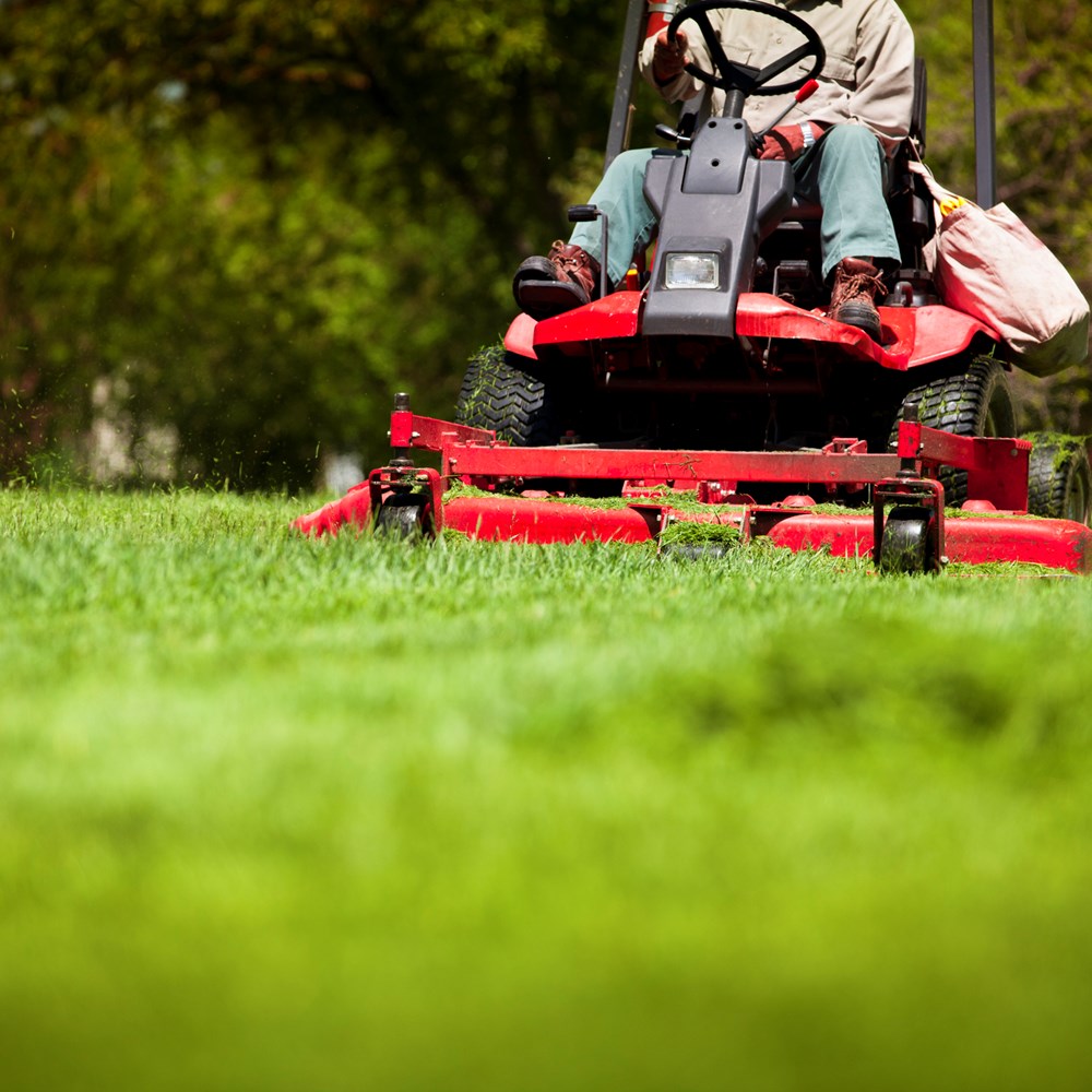 Import Ride On Mower Ride-On Mowers