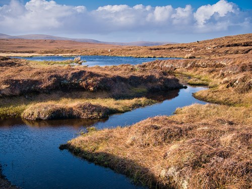 Peatland in Shetland