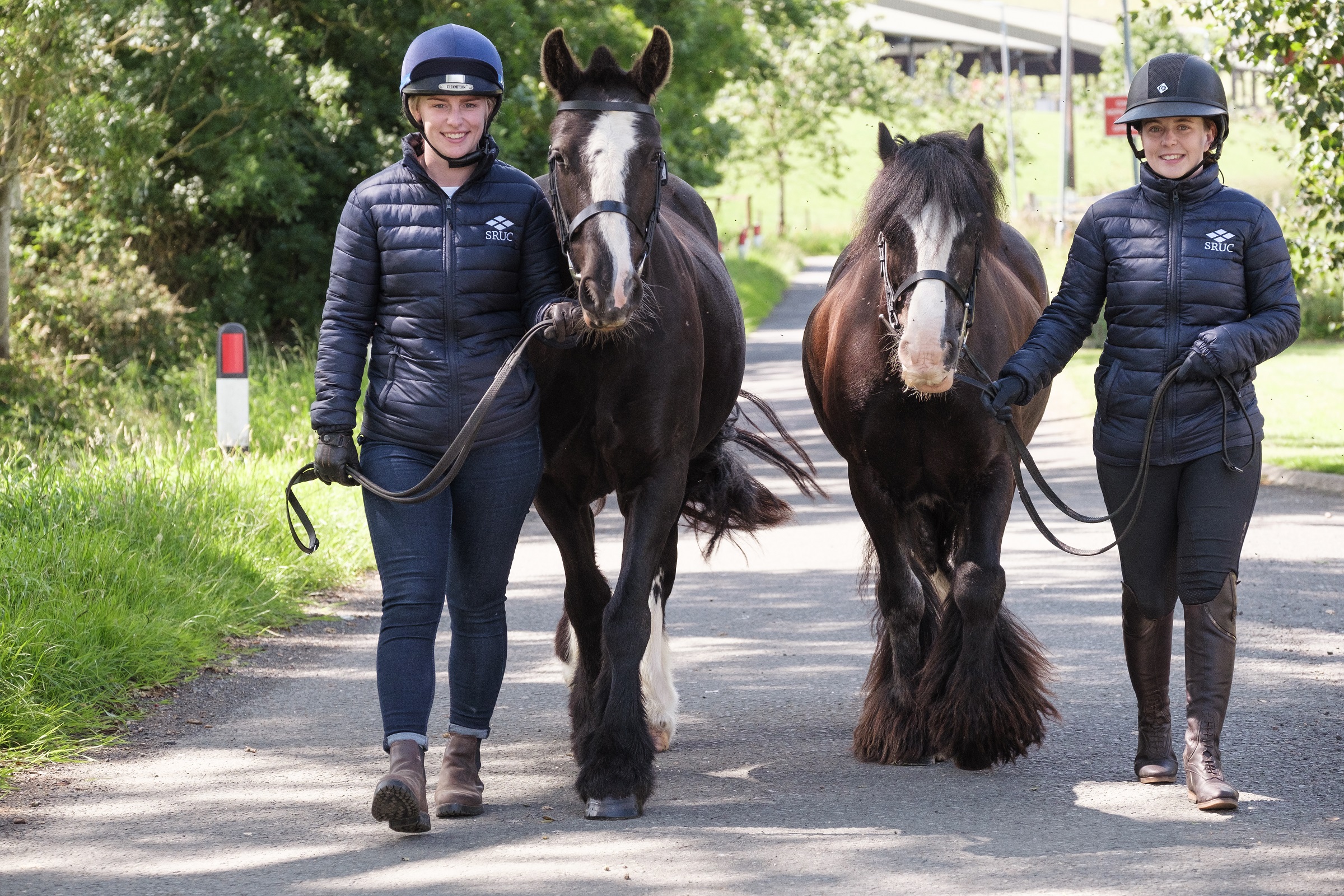 Gift horses for equine students SRUC