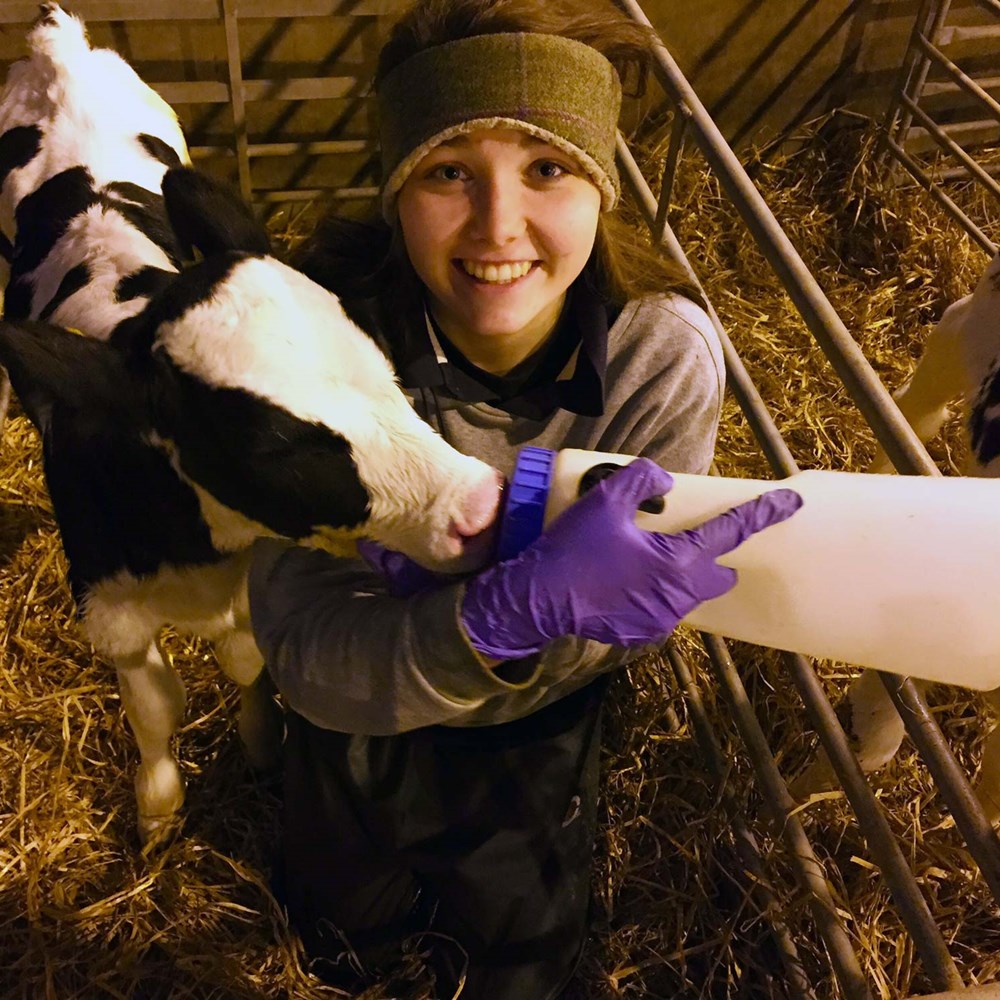 Study at SRUC BSc (Hons) Applied Animal Science