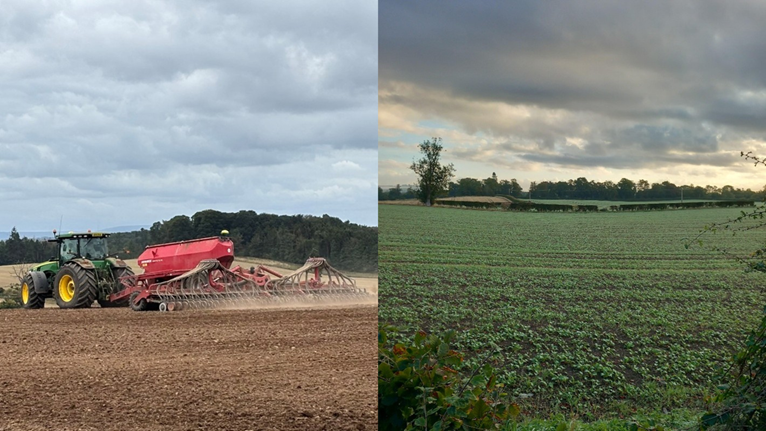 Two images. One of a tractor ploughing a field. The other image is of a field of crops.