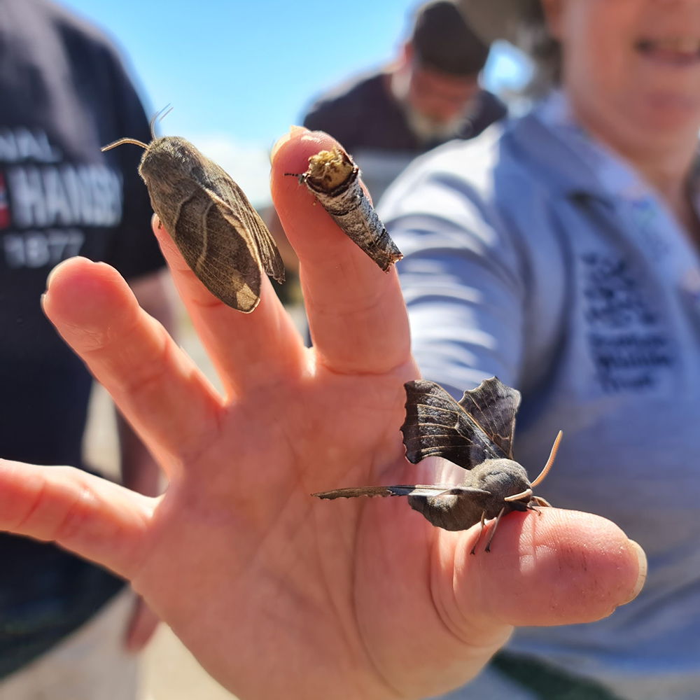 HND Wildlife and Conservation Management | SRUC