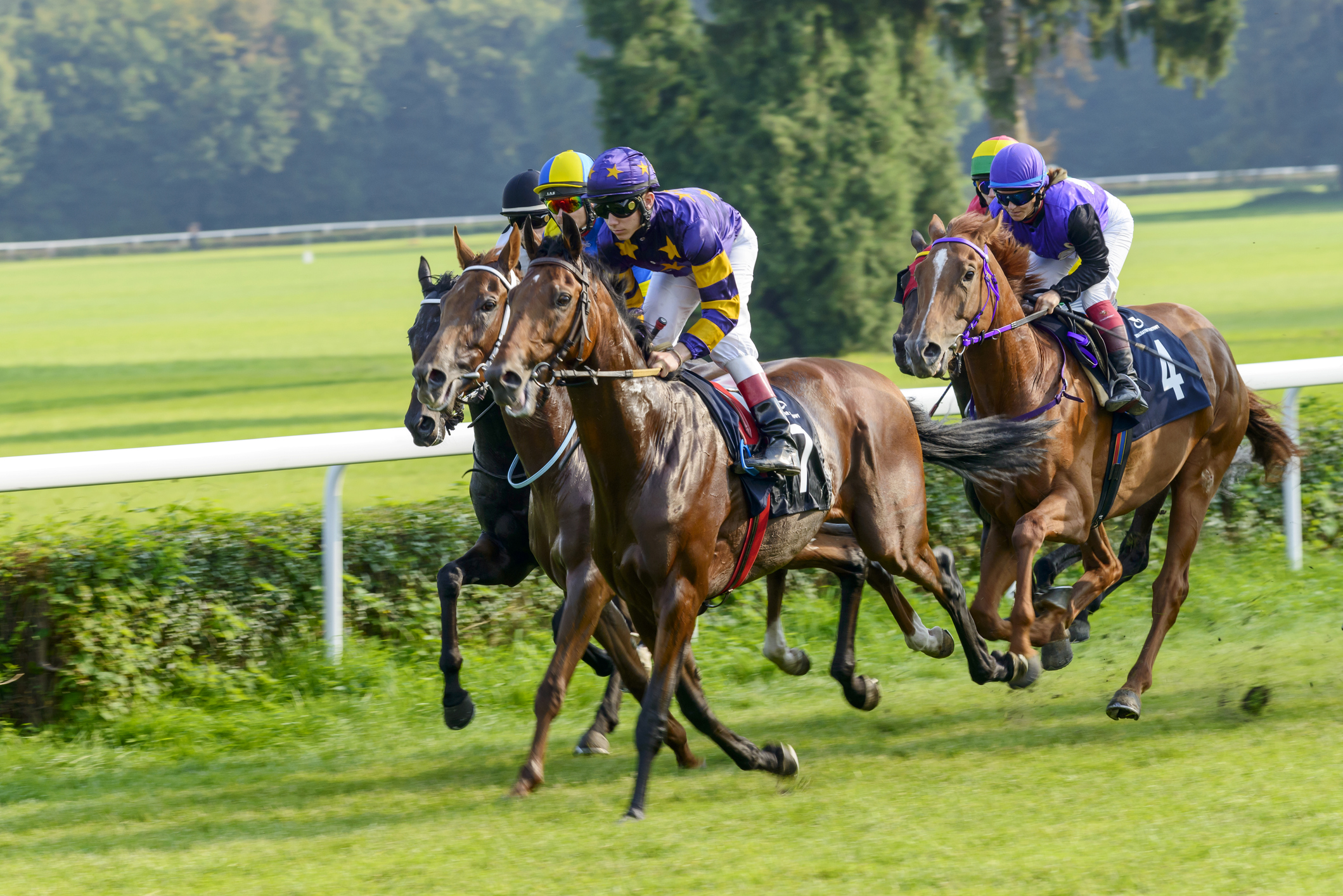 Horses with jockeys racing on a race course