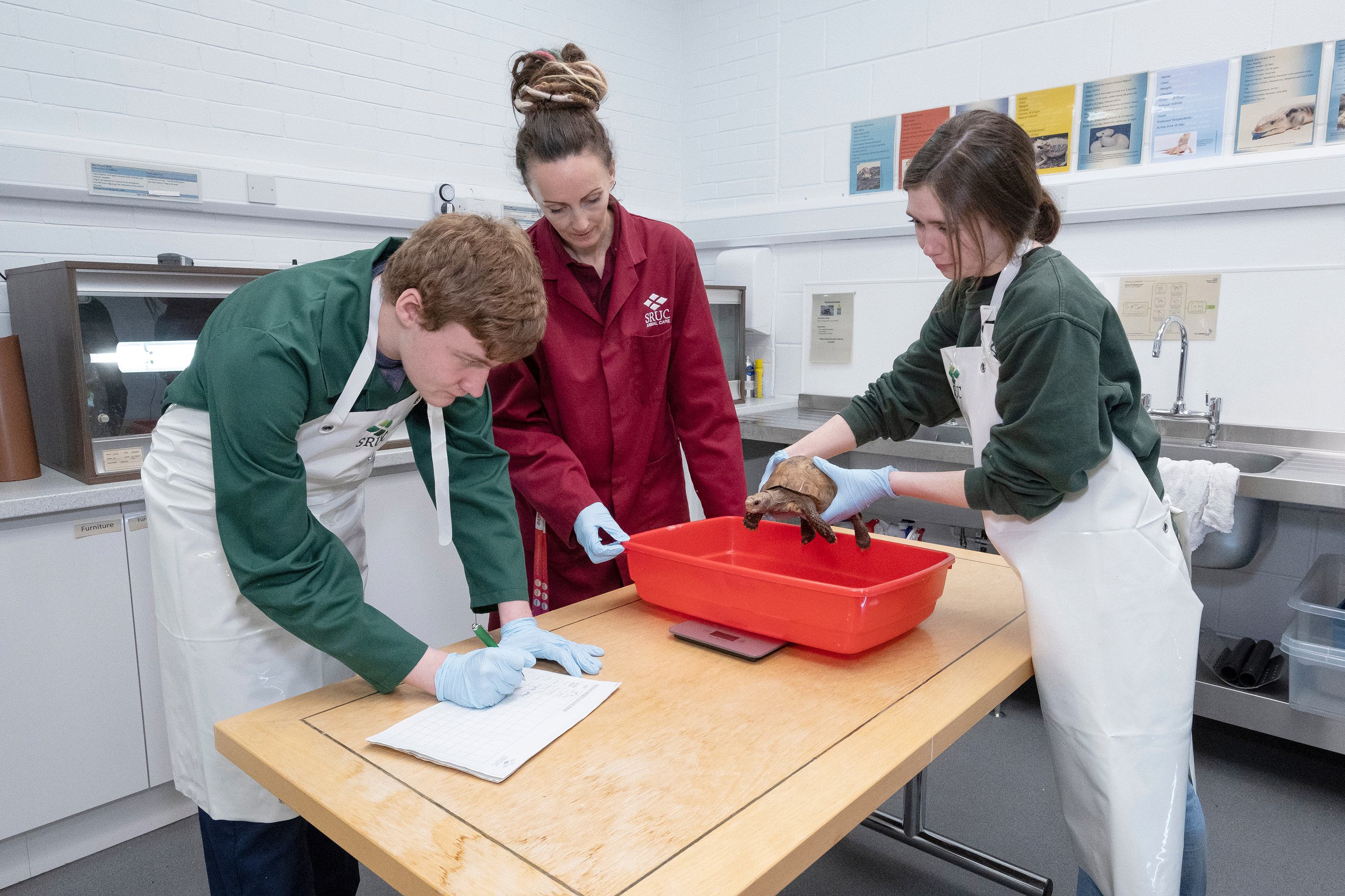 HND Animal Care | SRUC HND Animal Care | SRUC
