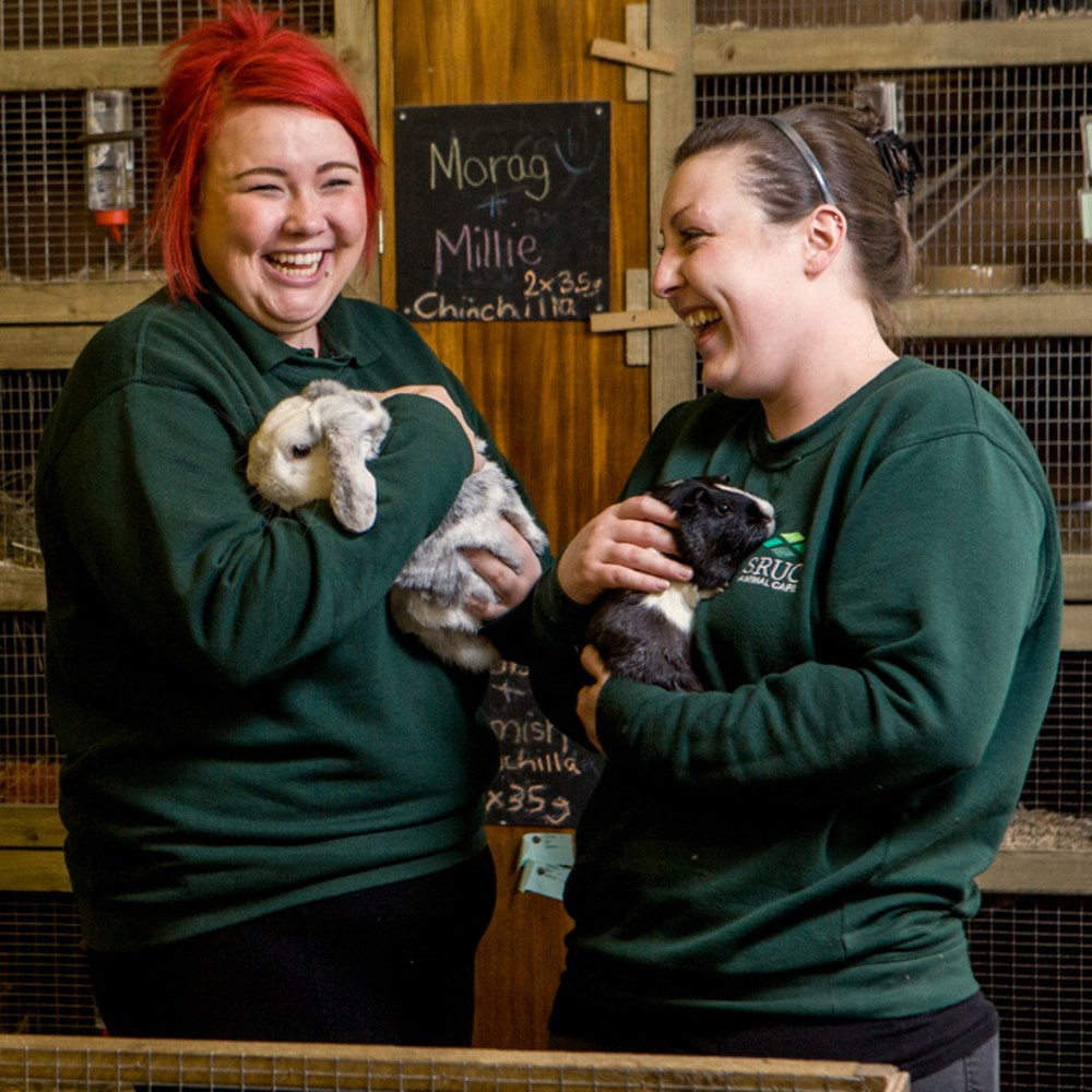 College Certificate Principles of Animal Care SRUC College Certificate Principles of Animal Care SRUC