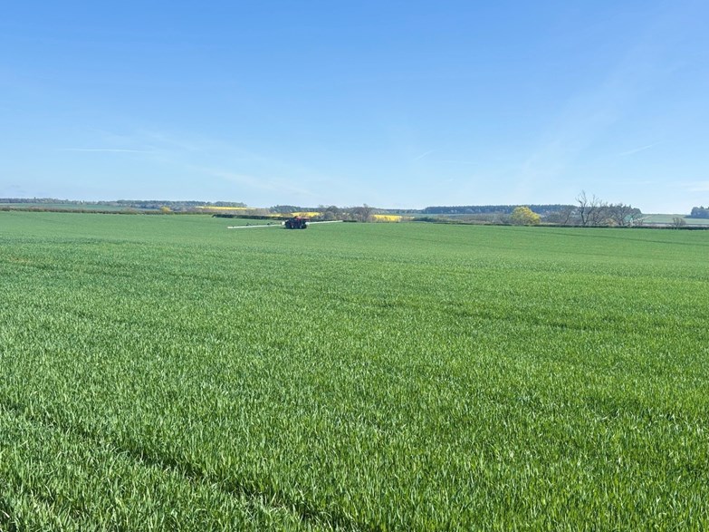 A tractor spraying in a field