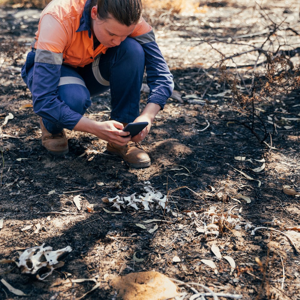 Conservation | SRUC