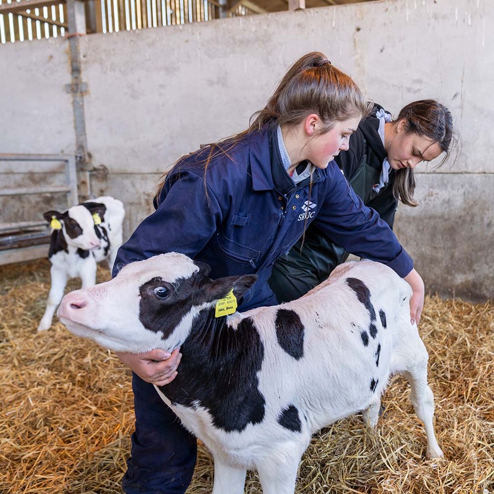 BSc (Hons) Agriculture | SRUC