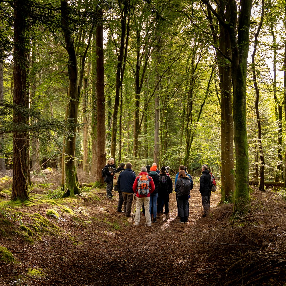 SRUC Short Courses | Basic Tree Survey and Inspection