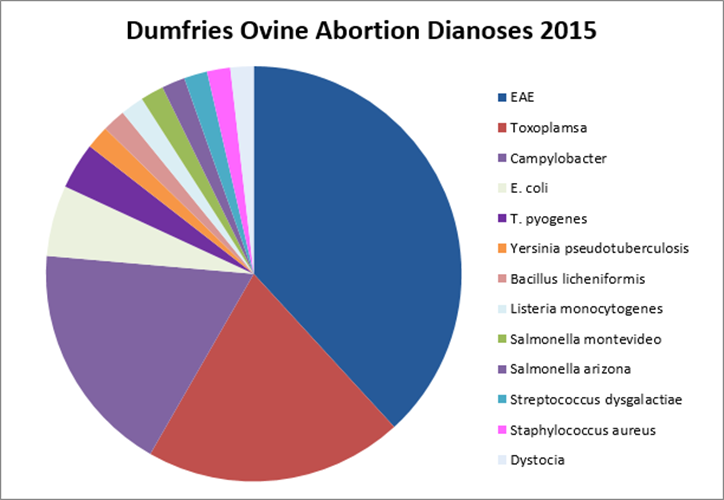 A pie chart showing abortion data from 2015