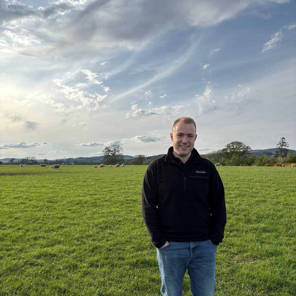 Man standing in a field