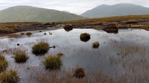 Peatland and mountains