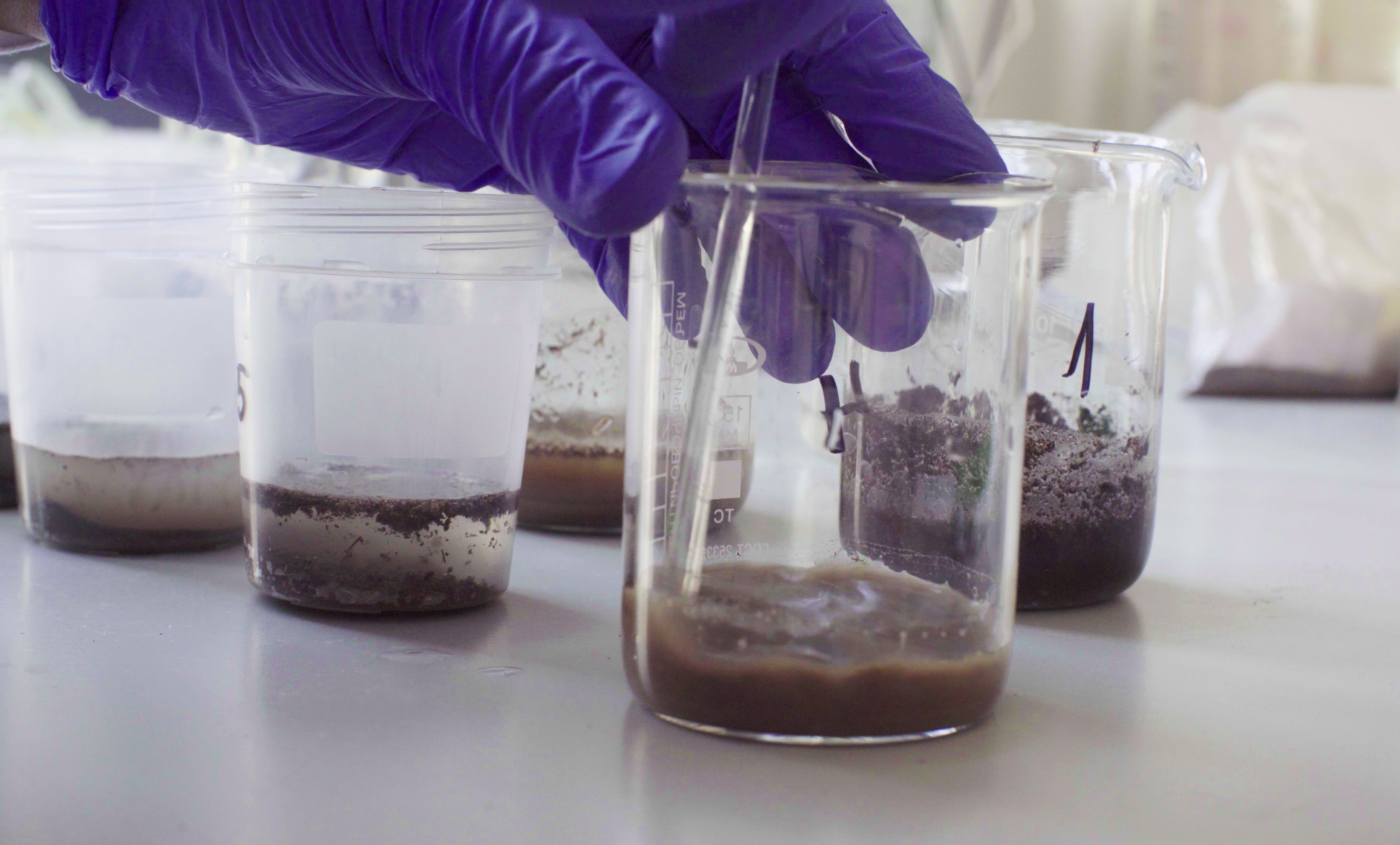 Вода в пробирке проба. 1. Санитарно-микробиологическое исследование почвы. Лабораторные исследования почвы. Микробиологическое исследование почвы. Почва в пробирке.