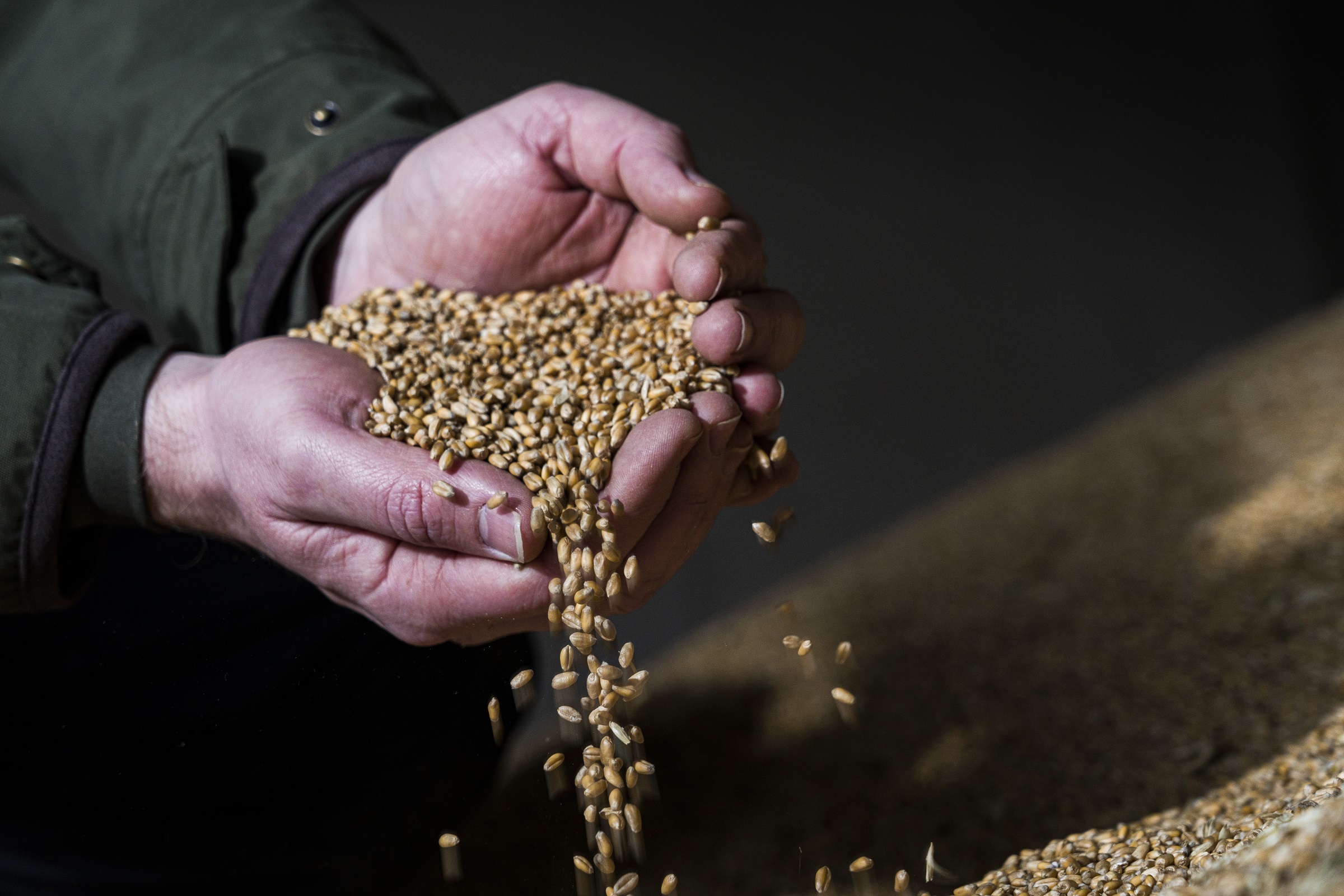 SRUC demonstrates impact in global assessment | SRUC